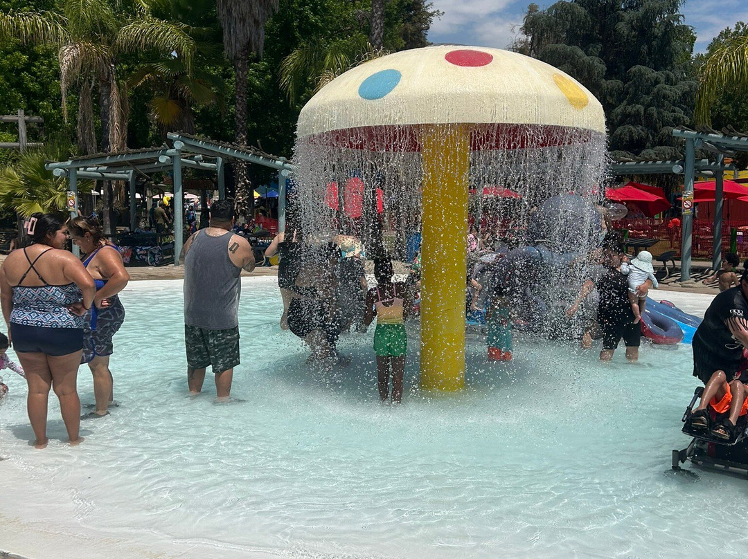 Wild Water Adventure Park-克洛维斯必去景点