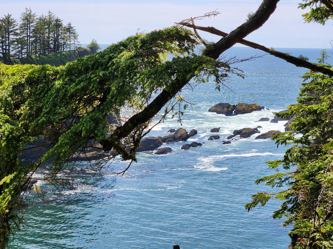 Cape Flattery-Clallam Bay必去景点