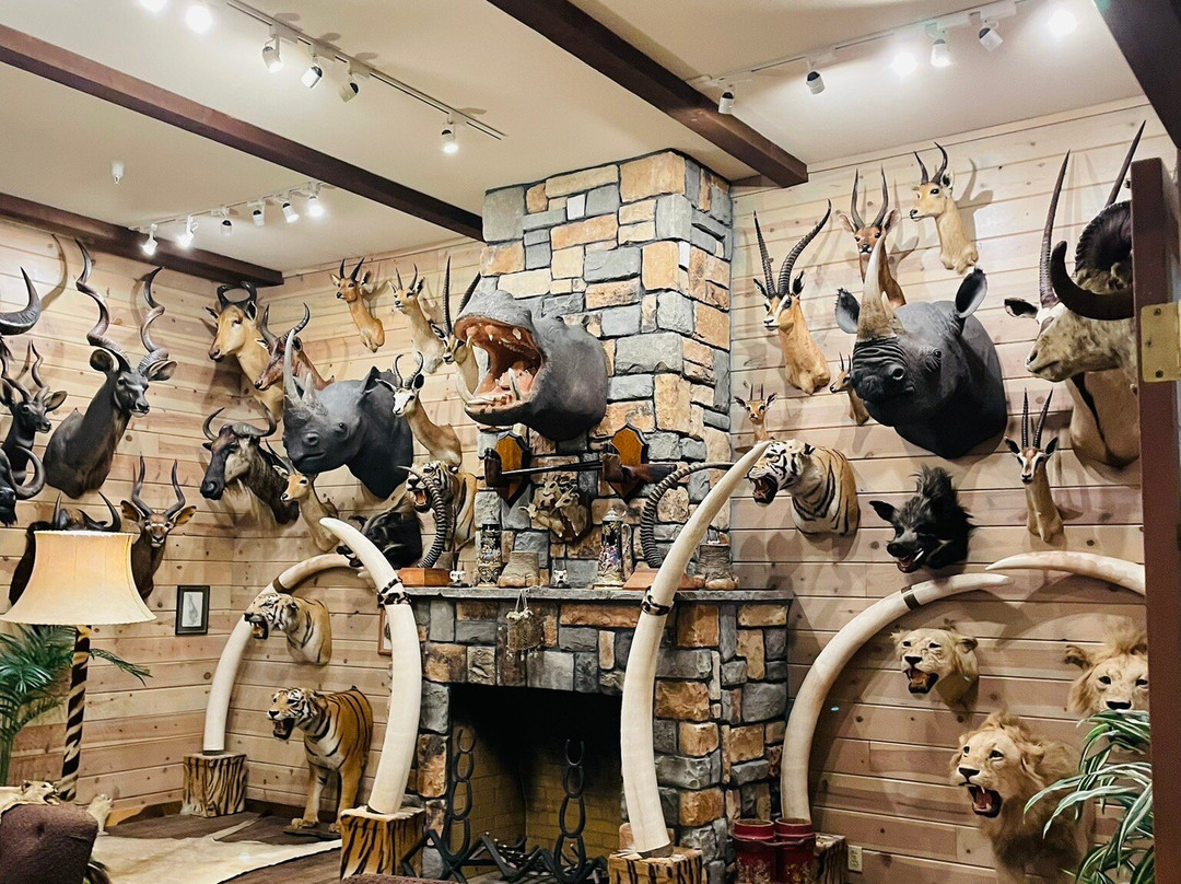 Wilbur D. May Center-里诺必去景点