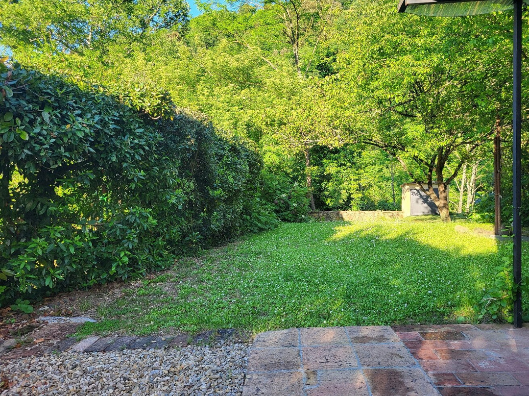 B&B Il Cielo Bio主图