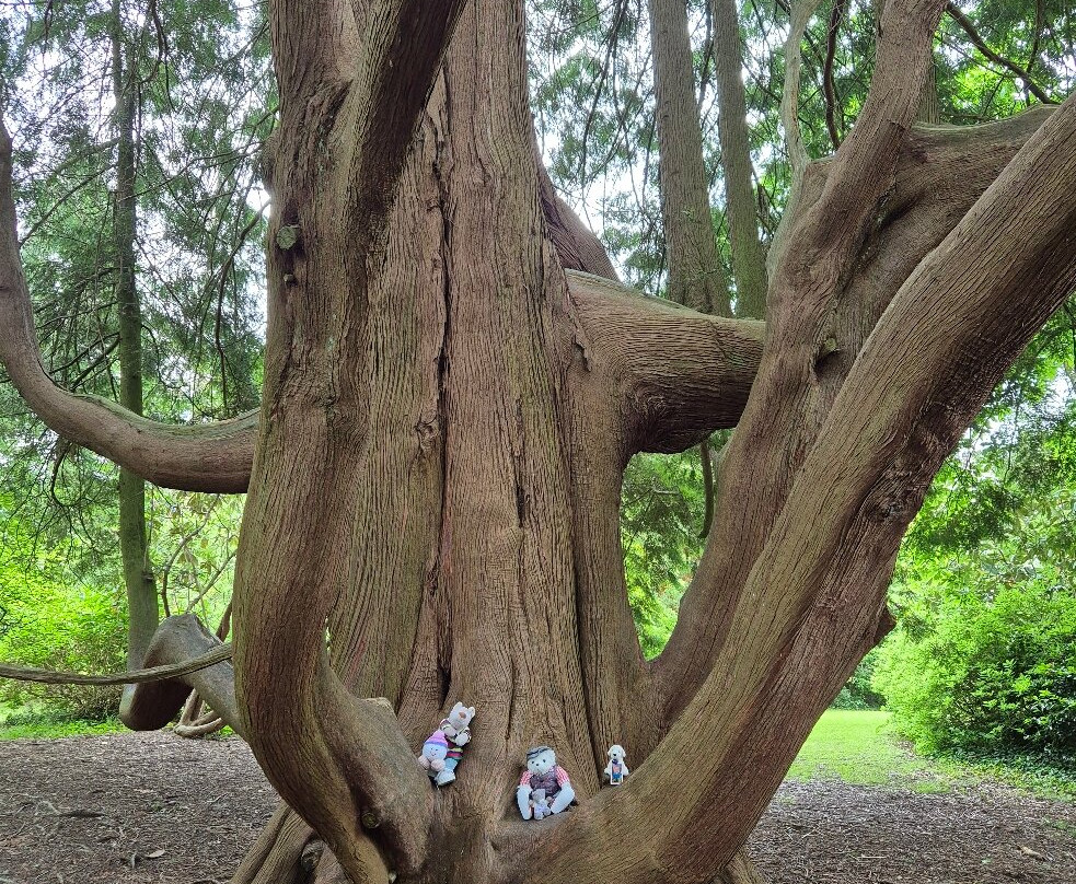 Picton Castle Gardens-哈弗福韦斯特必去景点