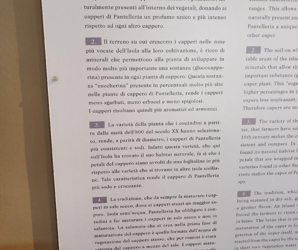 Capers Museum-Pantelleria Town必去景点