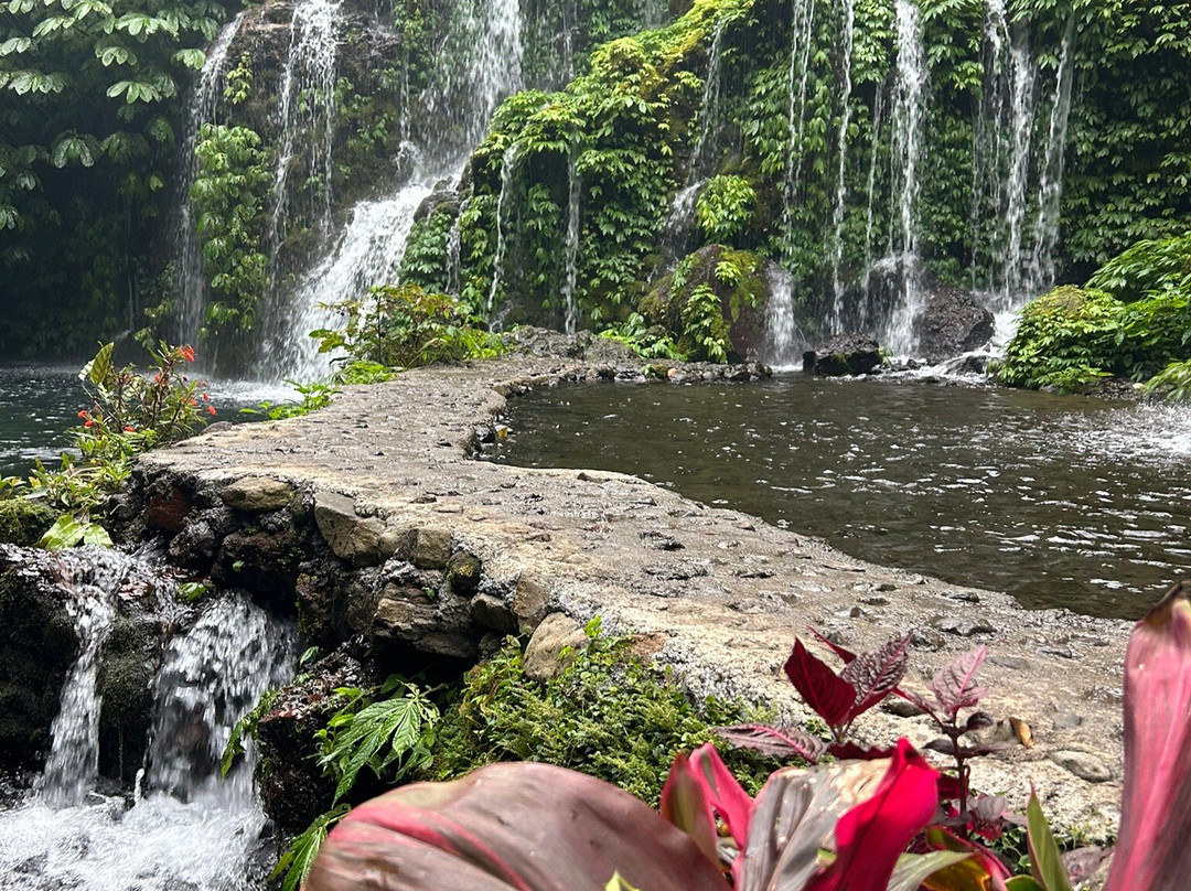 Banyu Wana Amertha Waterfall-Wanagiri必去景点