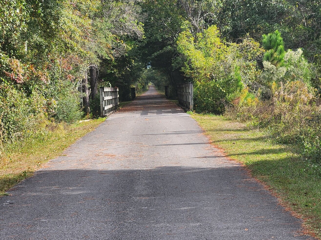 Blackwater Heritage State Trail-Milton必去景点