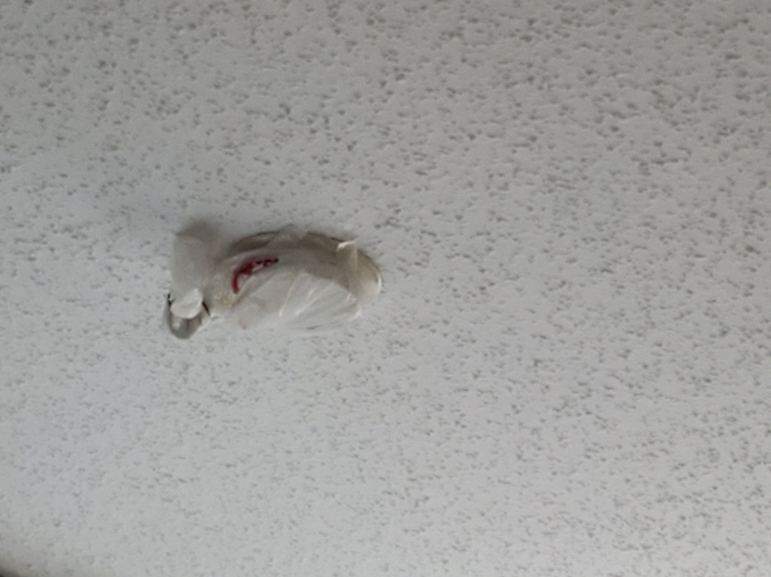 Clarion Pointe Beckley主图