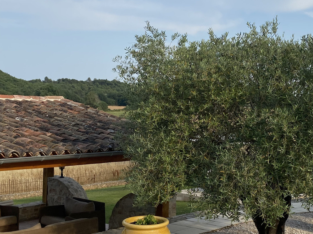 Domaine De La Tour D'Enguernes主图