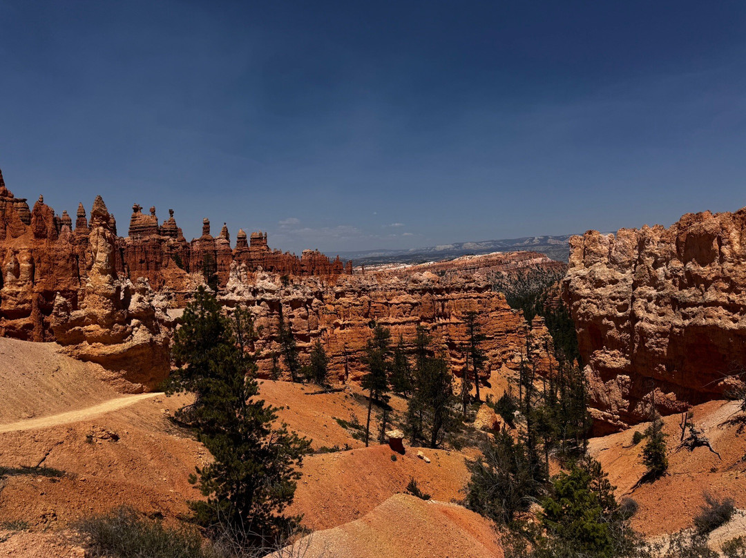 Red Canyon Trail Rides-布莱斯峡谷国家公园必去景点