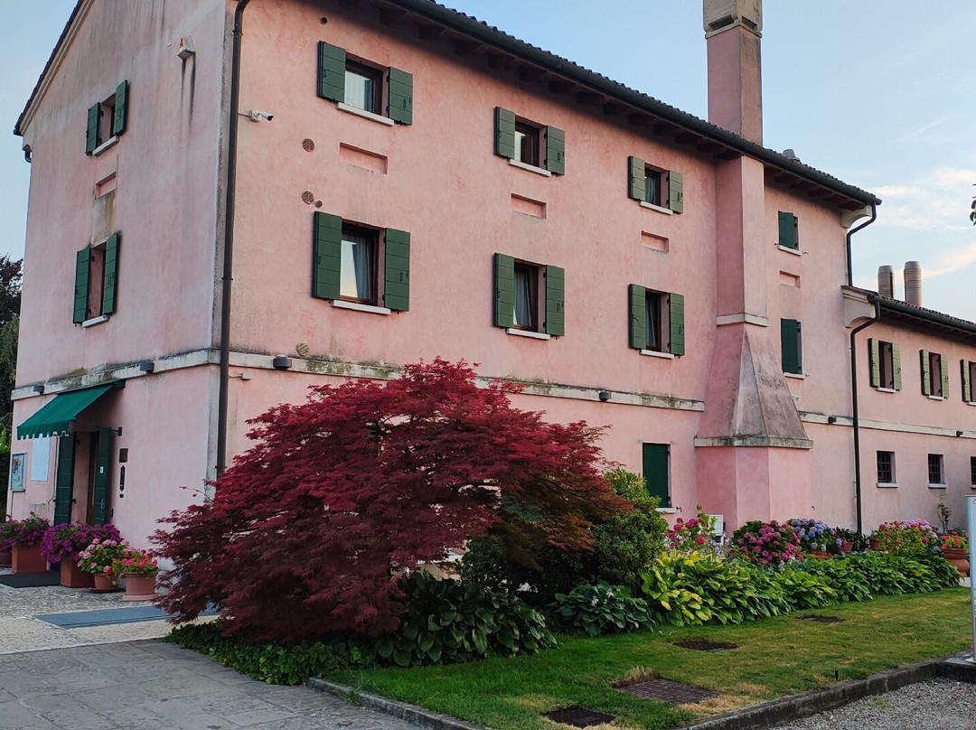 Osteria Alla Pasina主图