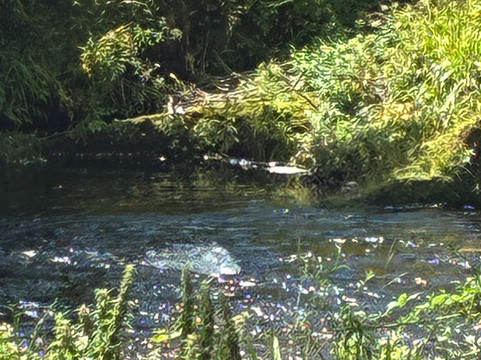 史丹利阿尔姆斯酒店主图