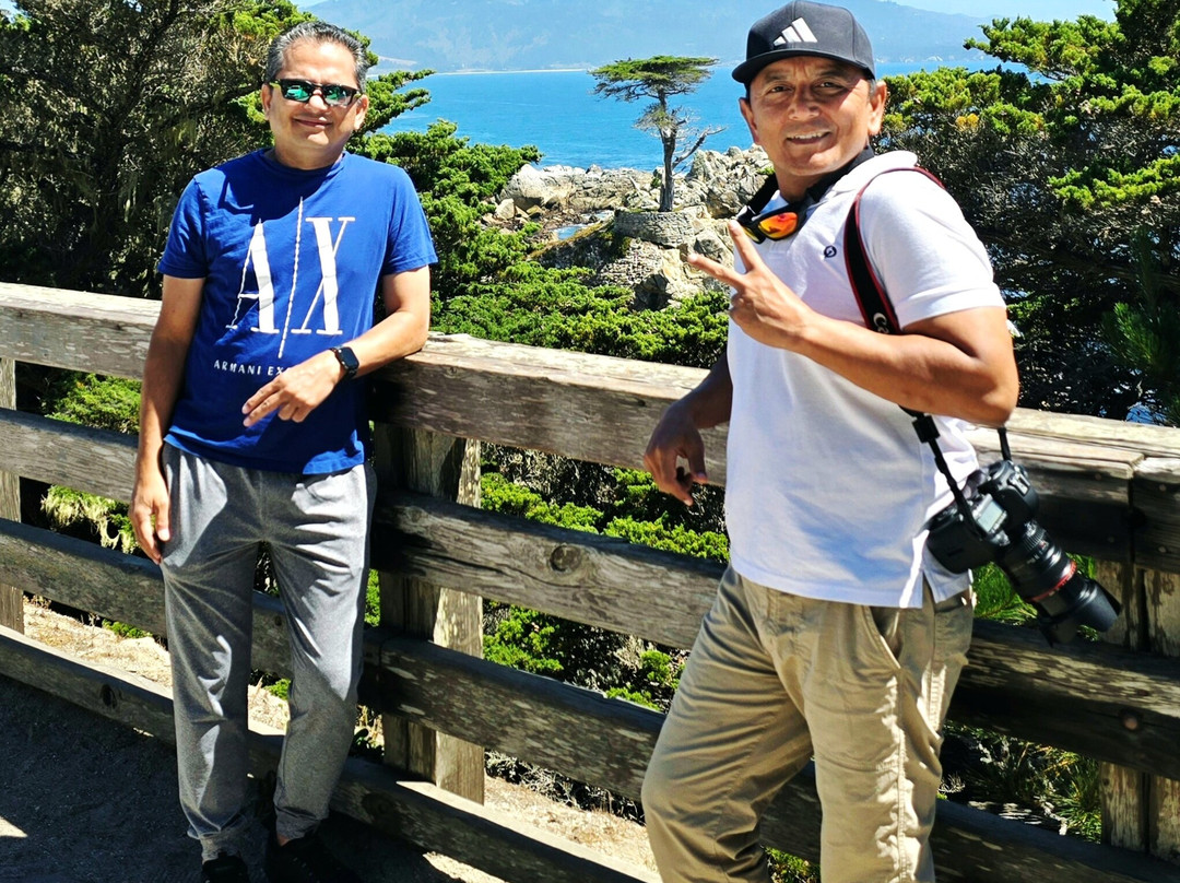 Lone Cypress-圆石滩必去景点