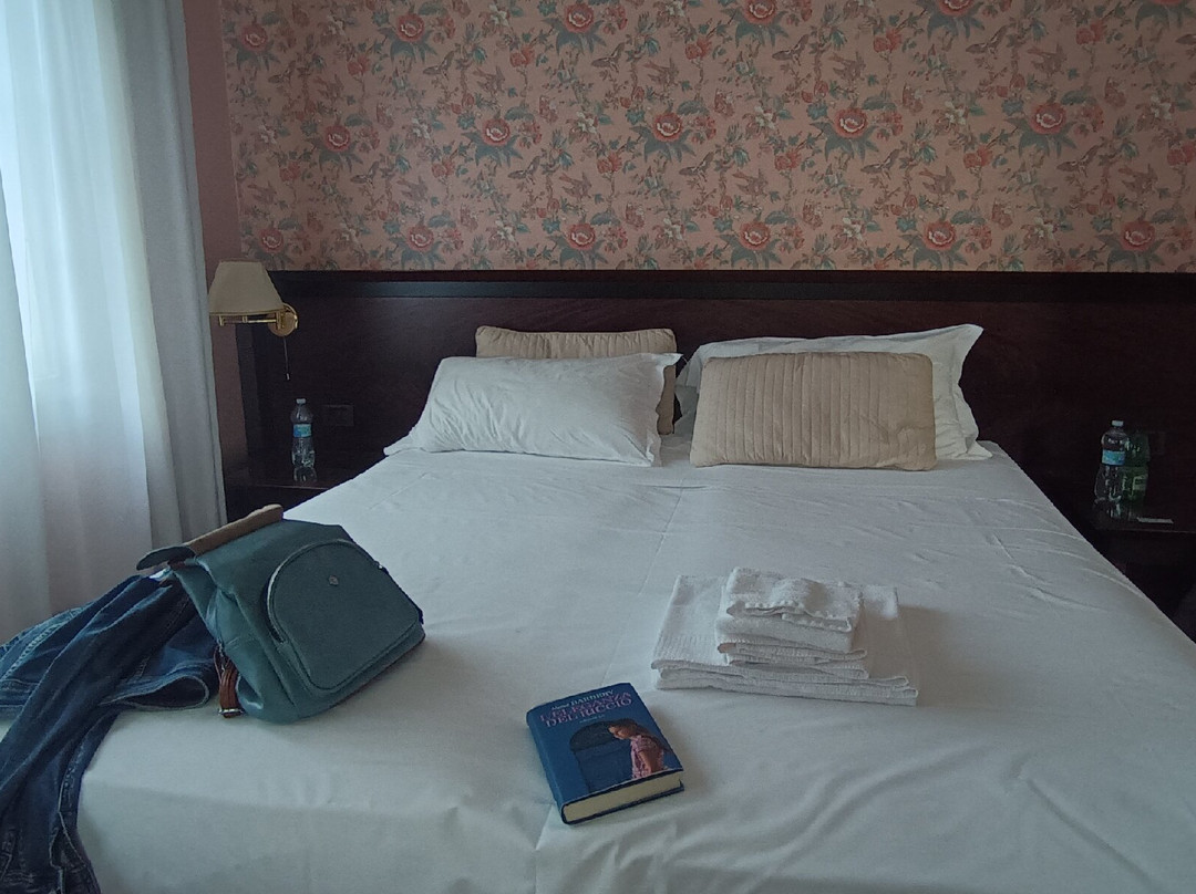 Hotel Villa Lussana主图