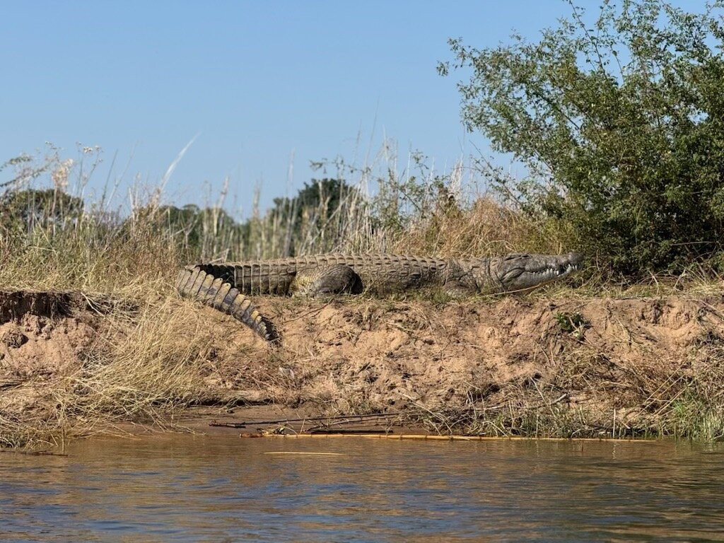 Mophy's Budget Safari-南卢安瓜国家公园必去景点