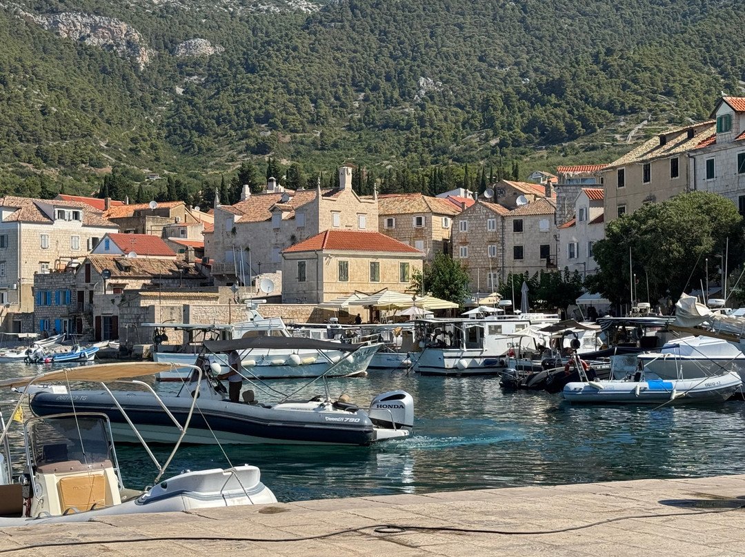 Restaurant&bar Dal Mare