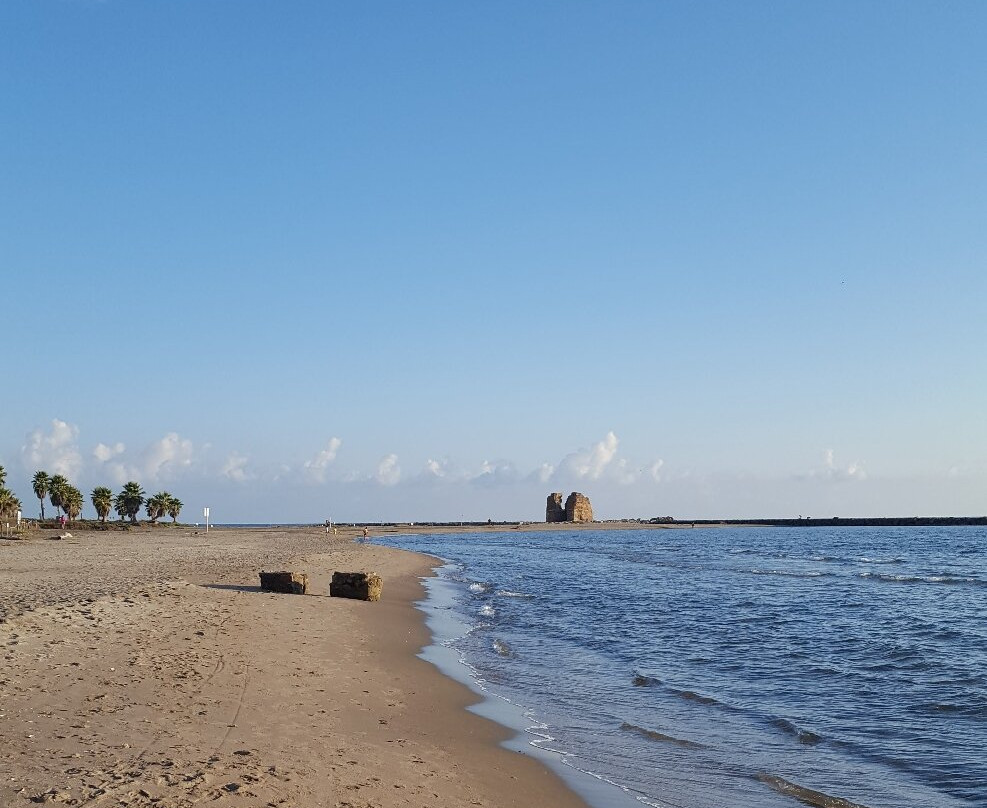Monumento Naturale Palude di Torre Flavia-拉迪斯波利必去景点