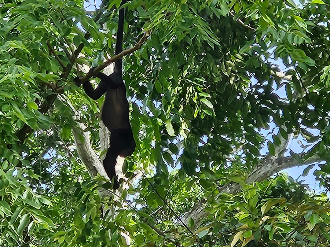 Panama Road Trips-巴拿马城必去景点