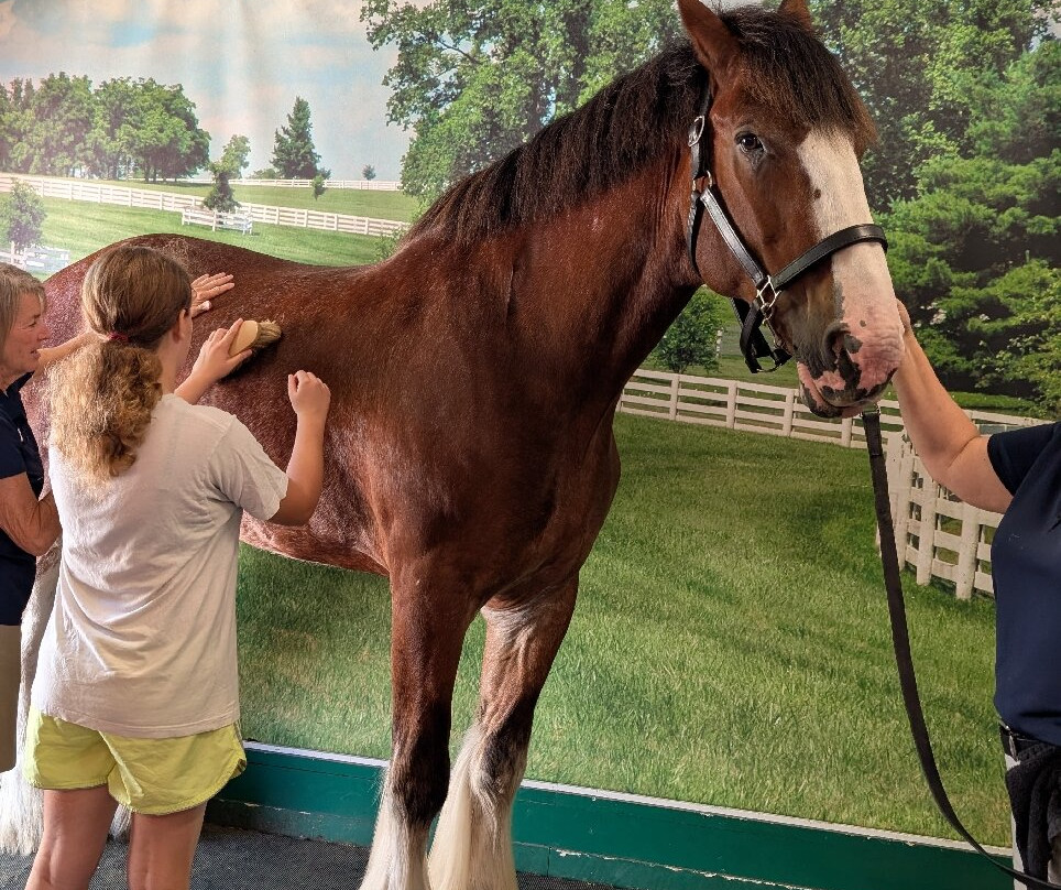 格兰特农场-圣路易斯必去景点