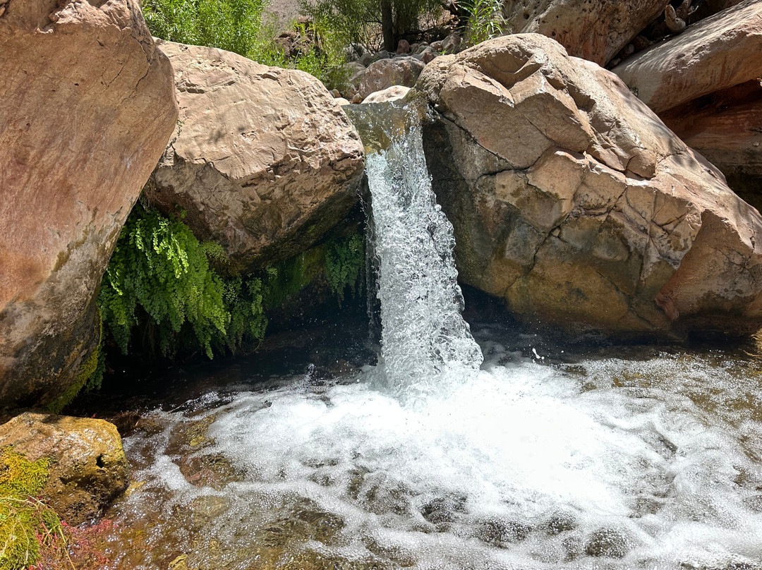 Oars Grand Canyon-弗拉格斯塔夫必去景点
