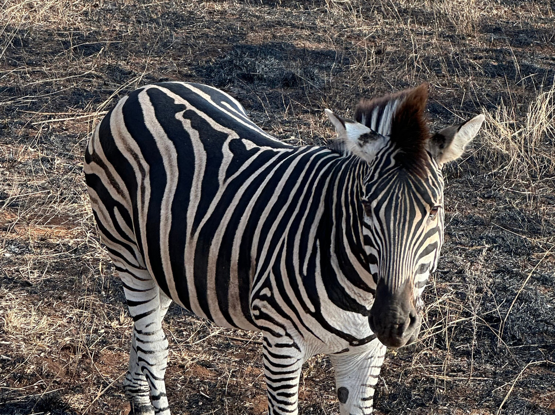 Buya Buya Travel & Tours-霍德斯普鲁特必去景点