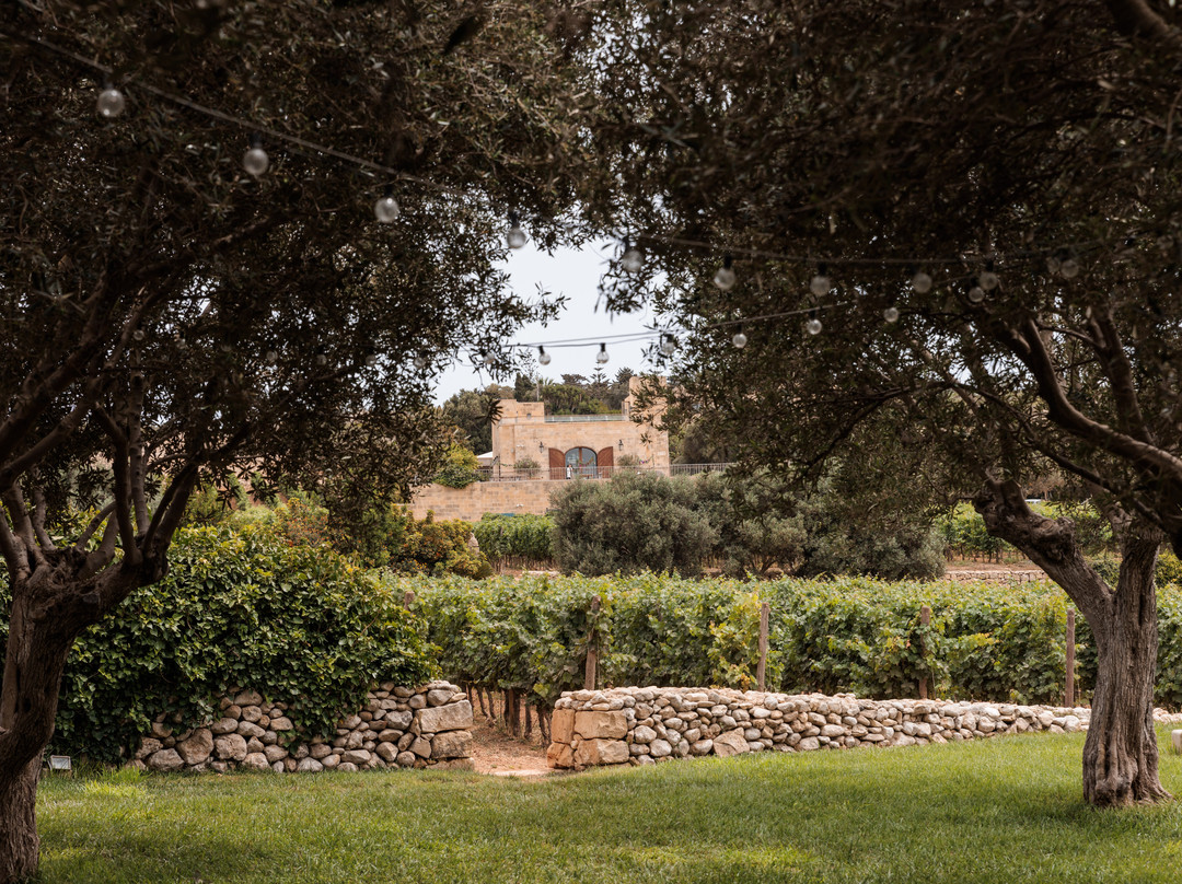 Ta' Betta Wine Estates-Siggiewi必去景点