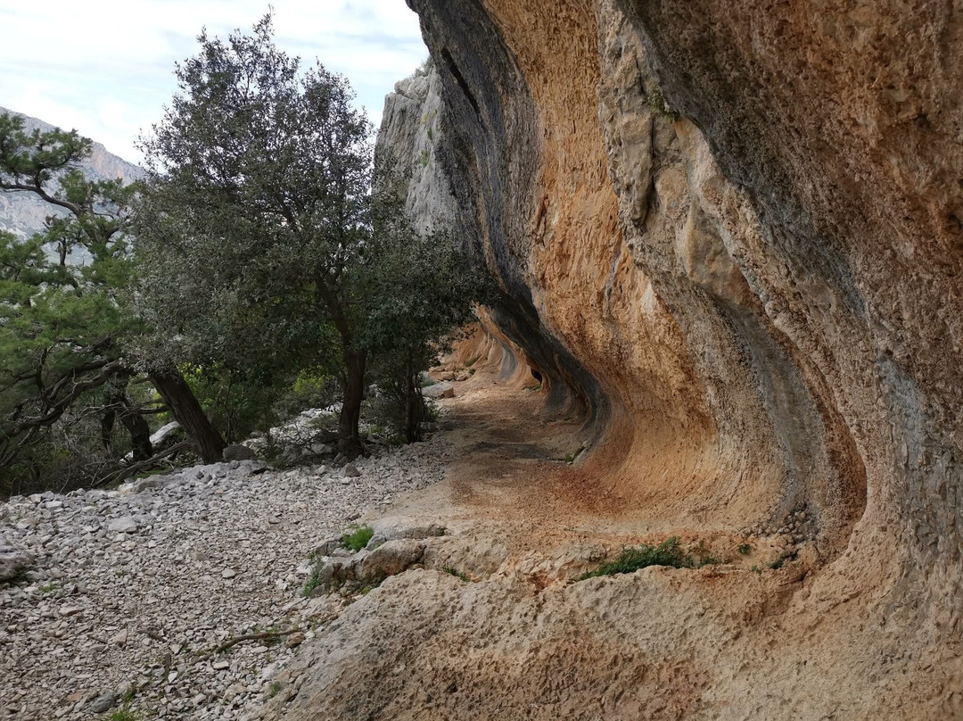 Orosei Adventours-奥罗塞必去景点