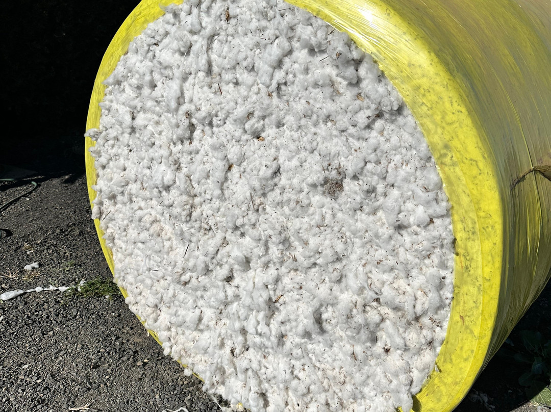 Goondiwindi Cotton-Goondiwindi必去景点