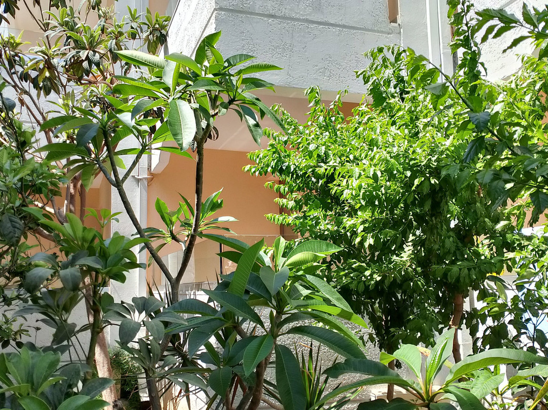 Kathrin Beach Hotel主图