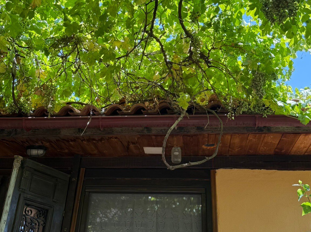 Guesthouse Archontiko主图