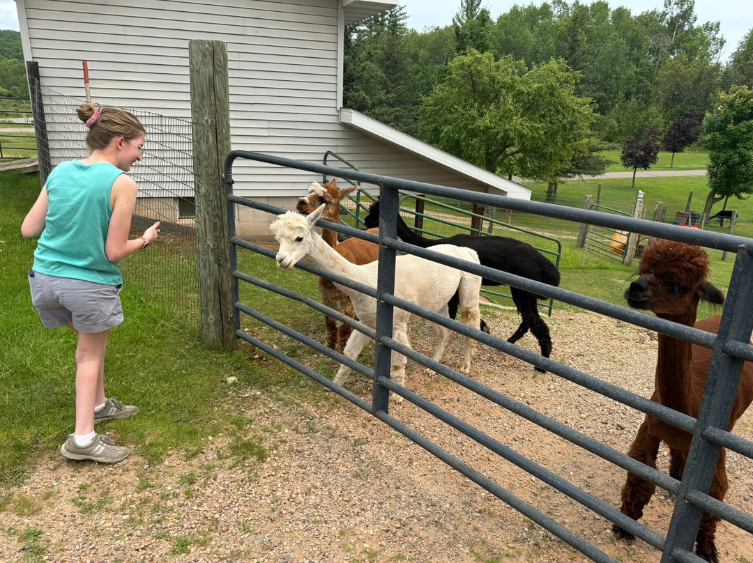 Rainbow Gifts and Yarn-Norway必去景点