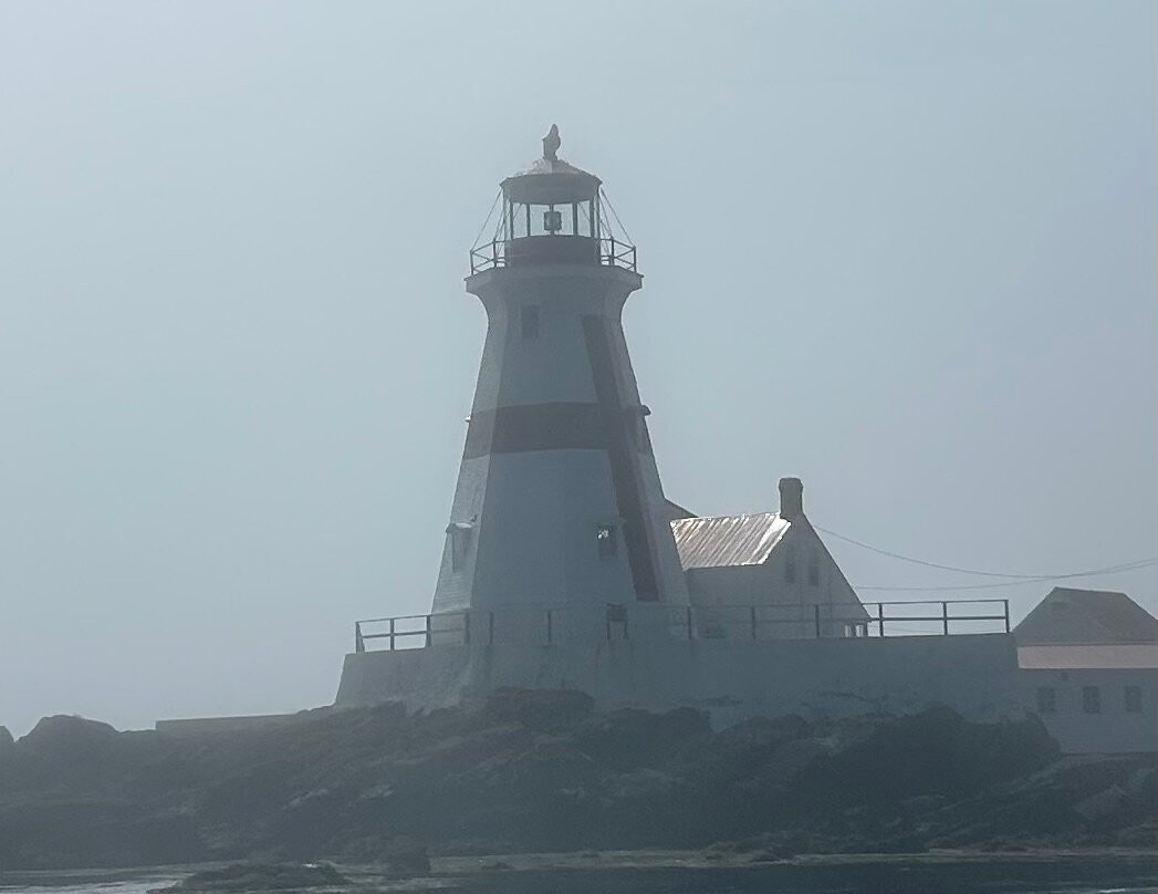 Island Quest Marine-Saint Andrews必去景点