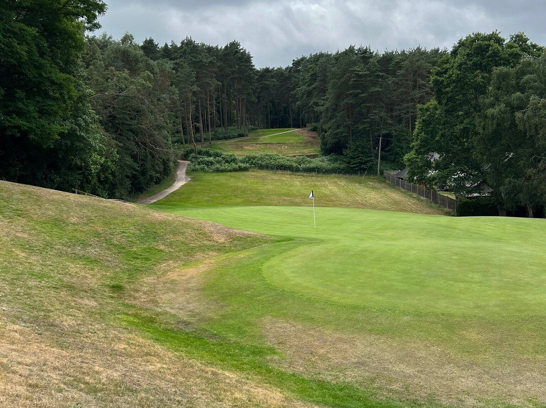 Old Thorns Golf Course-Liphook必去景点