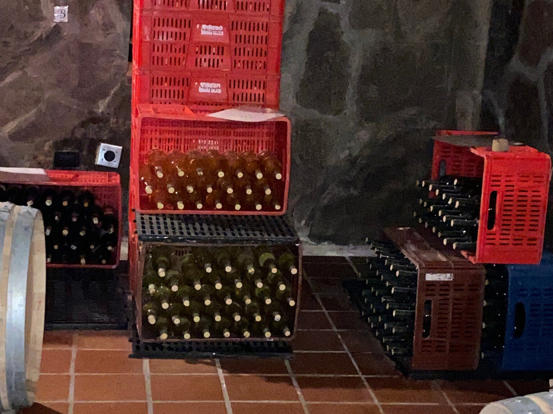 Vinedo Umana Dajud-莱瓦镇必去景点