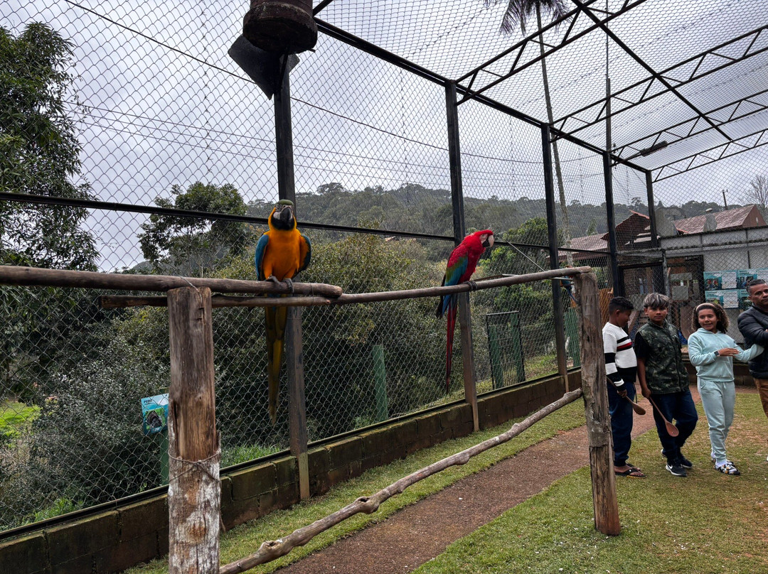 Bioparque Das Aves
