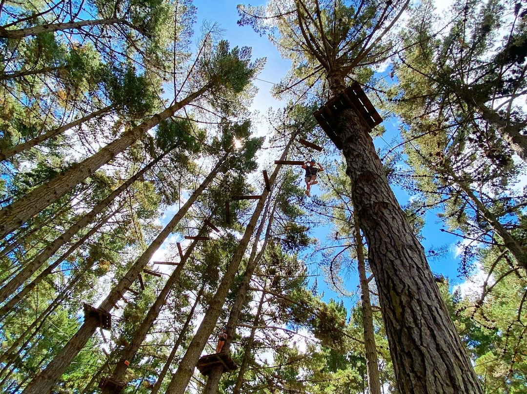 Tree Adventures-伍德山必去景点
