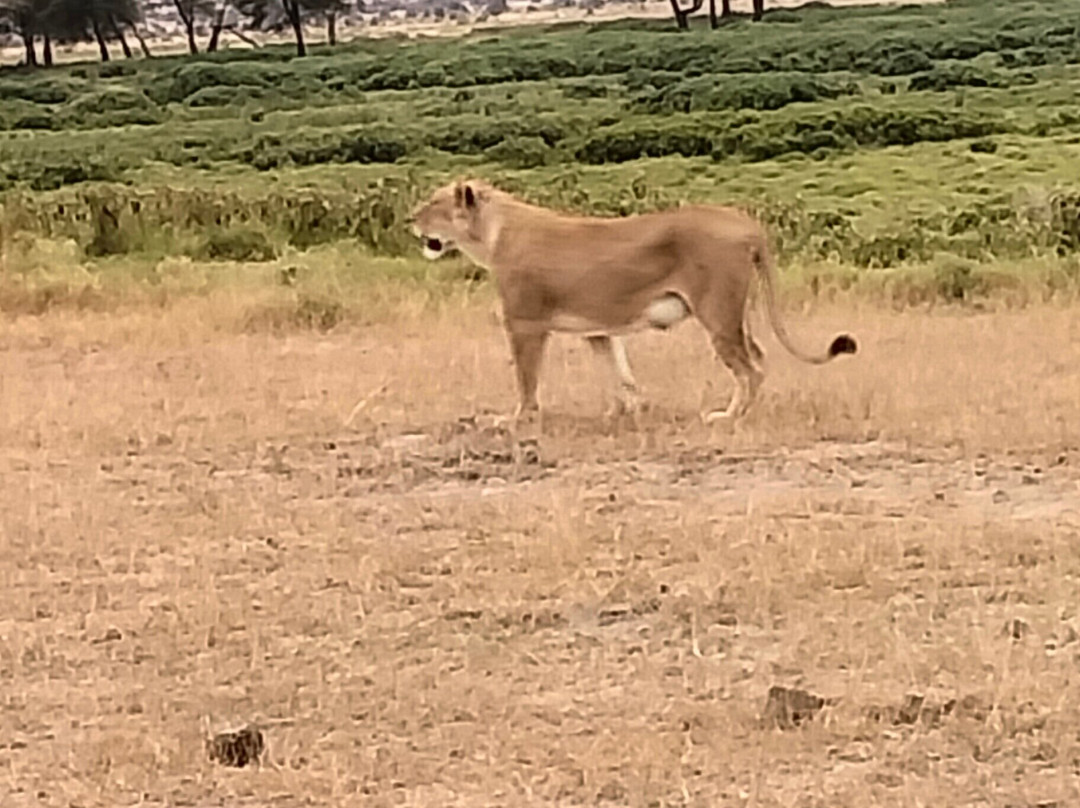 VALLEY ROCKS TOURS-内罗毕必去景点