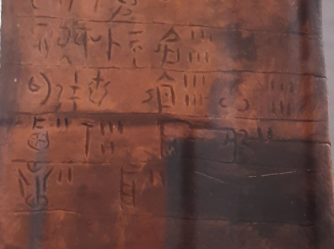 Museum of the Olive and Greek Olive Oil-Sparta必去景点