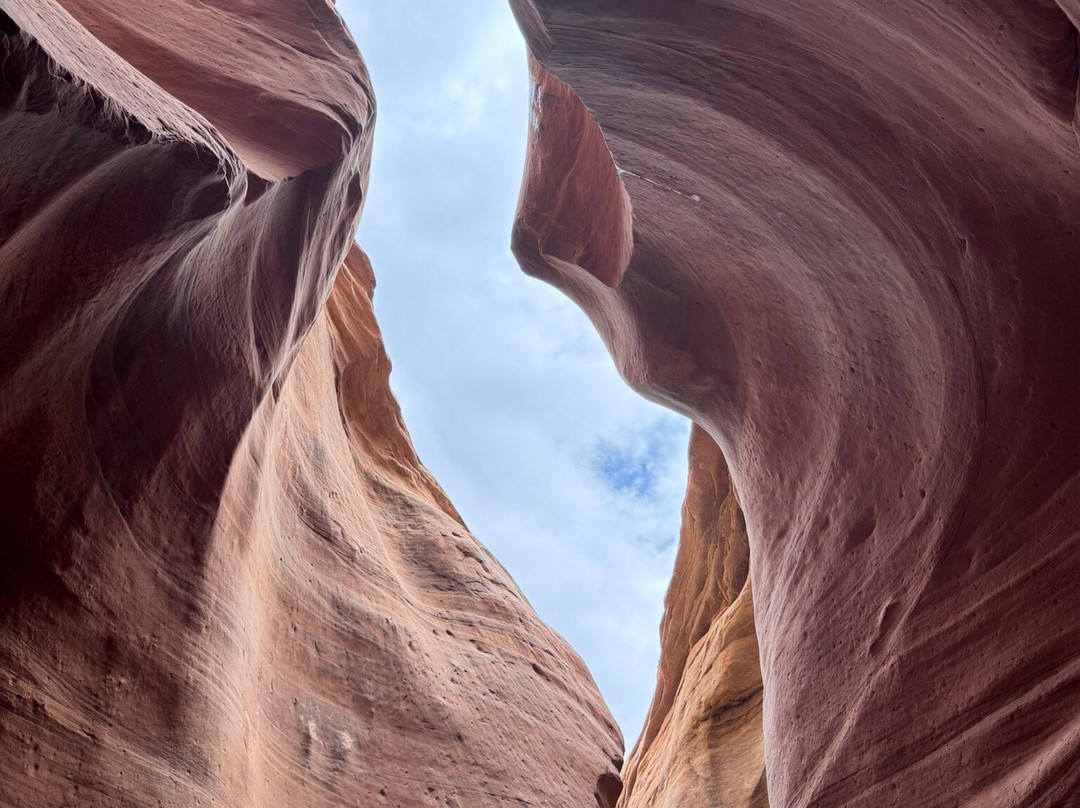 Wild Expeditions-布拉夫必去景点