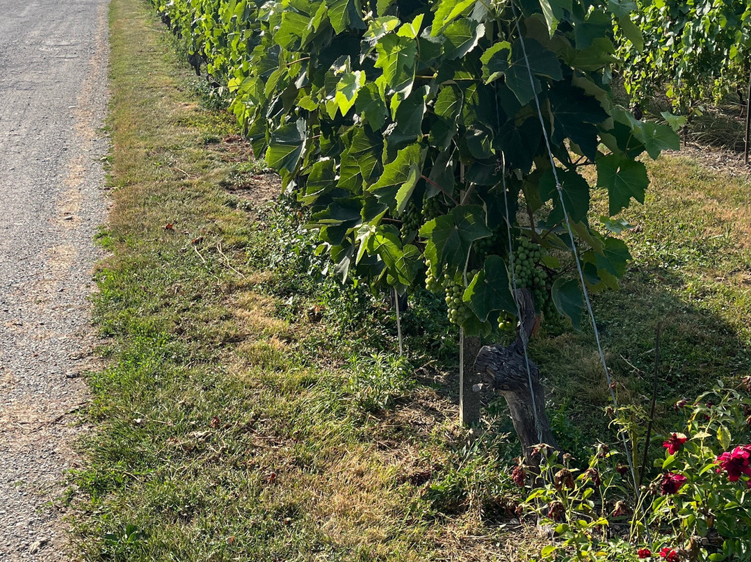Domaine Les Perrières-Satigny必去景点