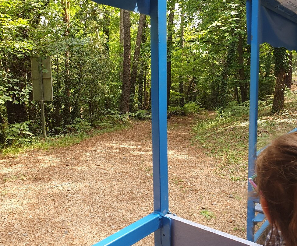 Train de l'Andorge en Cevennes-Sainte-Cecile-d'Andorge必去景点