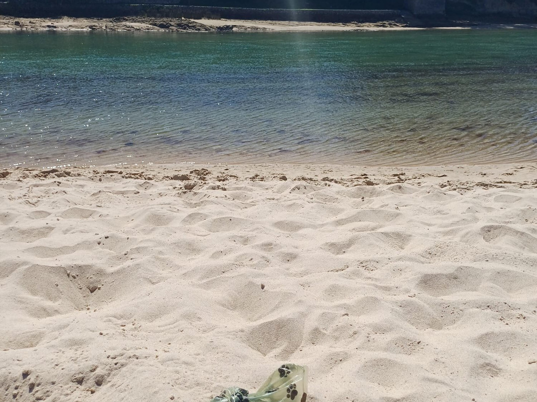 Playa de Oyambre-San Vicente de la Barquera必去景点