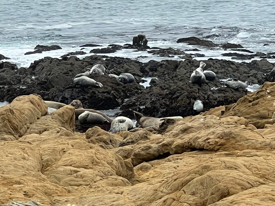 The Shelter Cove Oceanfront Inn主图