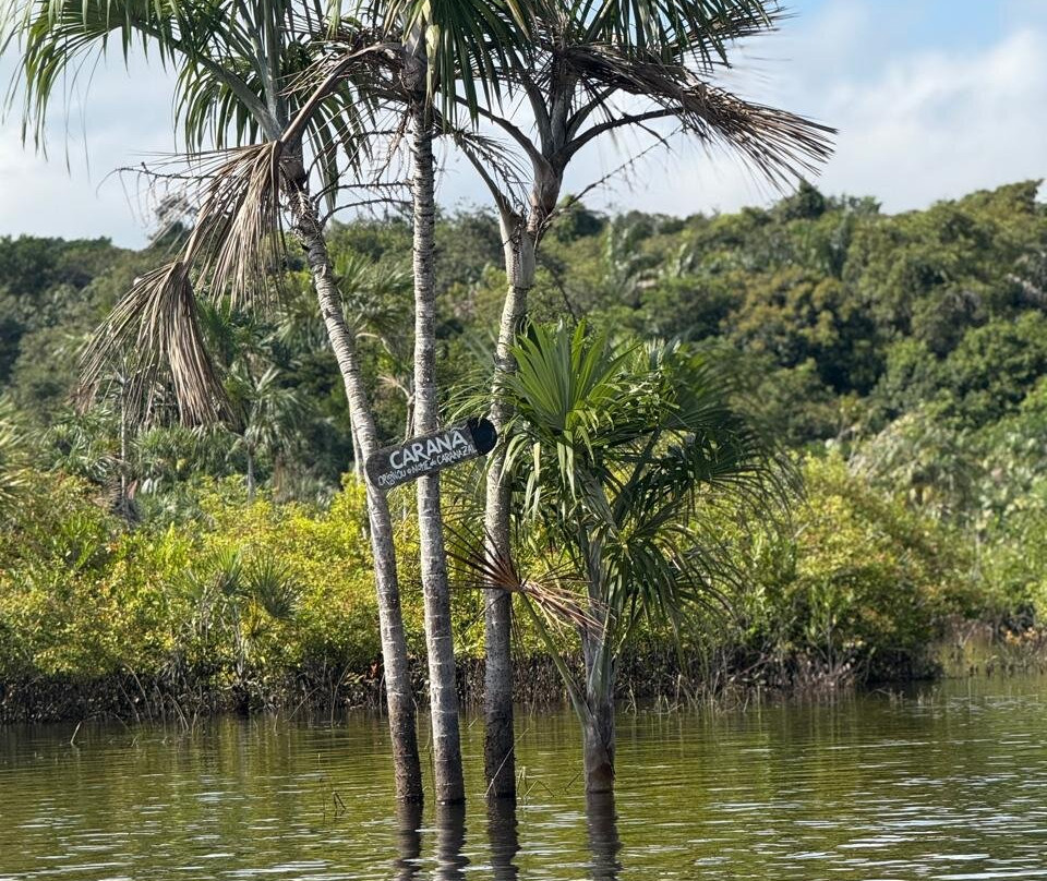 Our Lady of Good Health Parish-Alter do Chao必去景点