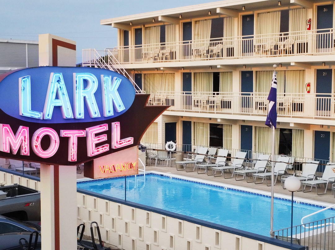 Middle Township酒店住宿-Lark Motel