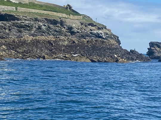 St Ives Boat Services-圣艾维斯必去景点