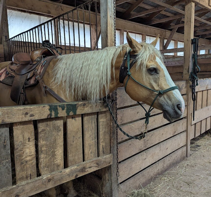Spirit Reins Ranch-Parrsboro必去景点