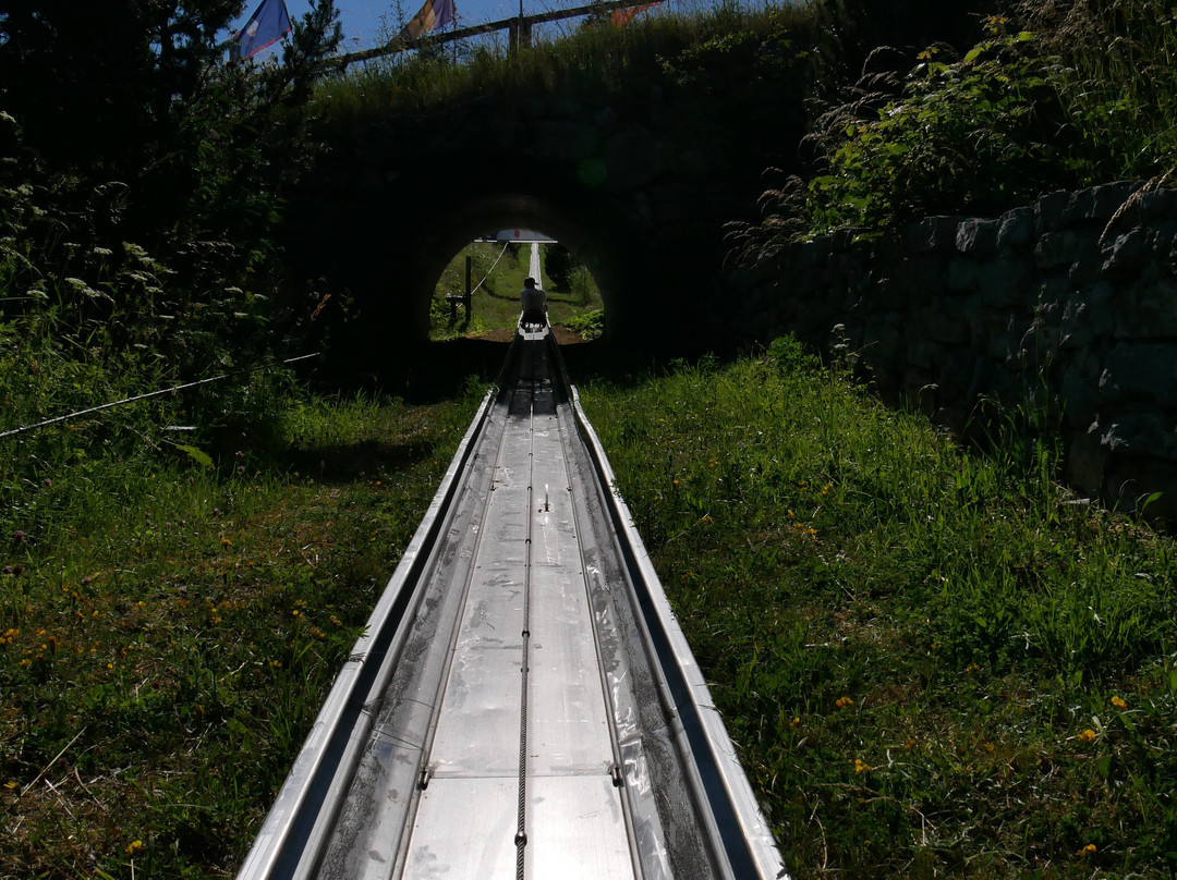 Toboggan-La Vue des Alpes必去景点