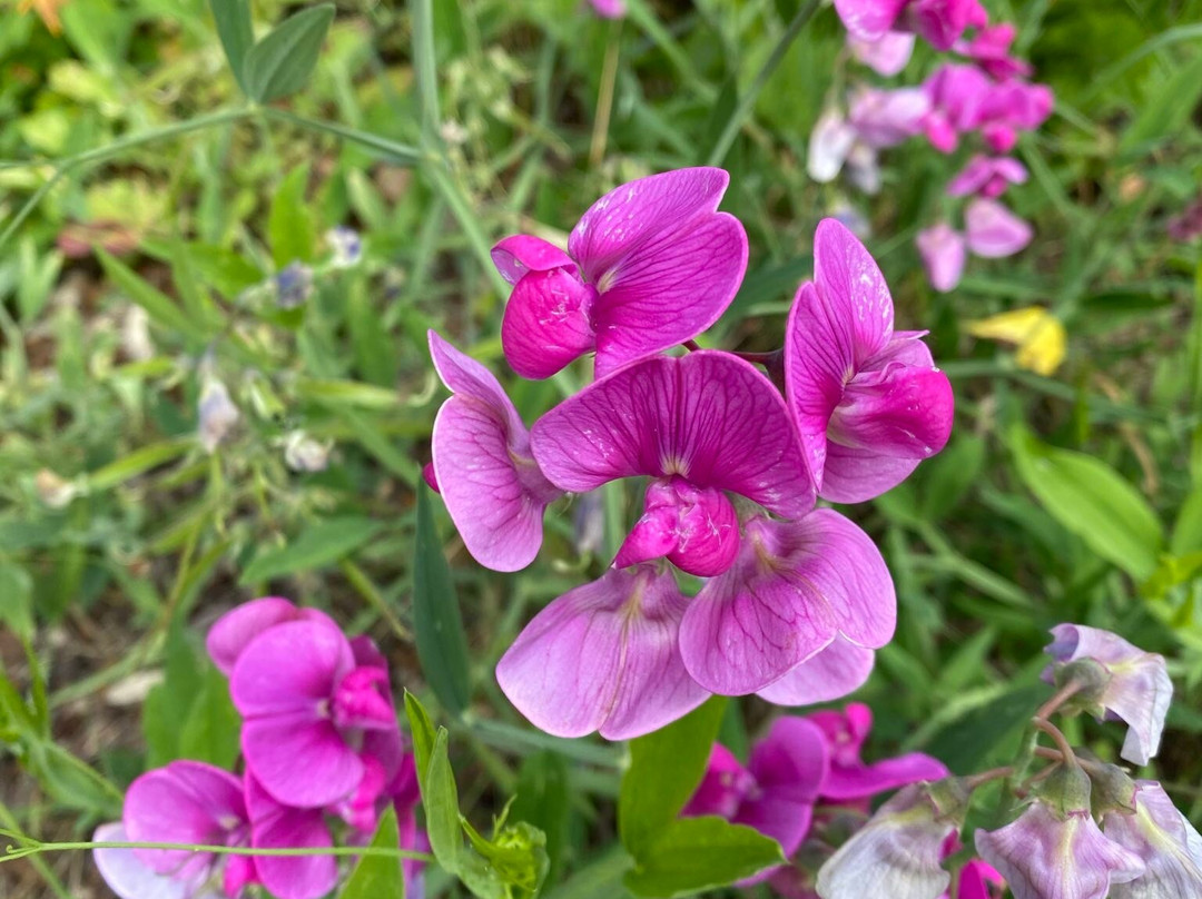 Le Clos Boutenelle主图