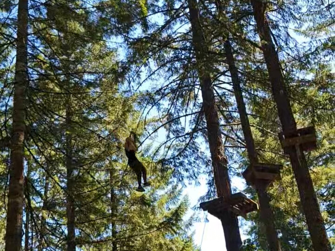 Tree to Tree Adventure Park-Gaston必去景点