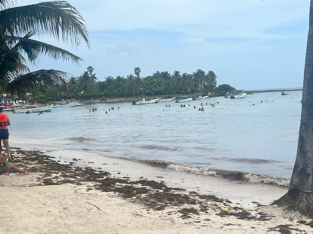 Akumal Dive Center-艾库玛尔必去景点