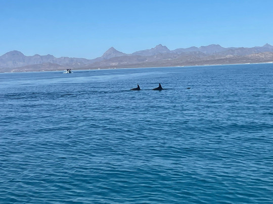 Isla Carmen-下加利福尼亚州必去景点