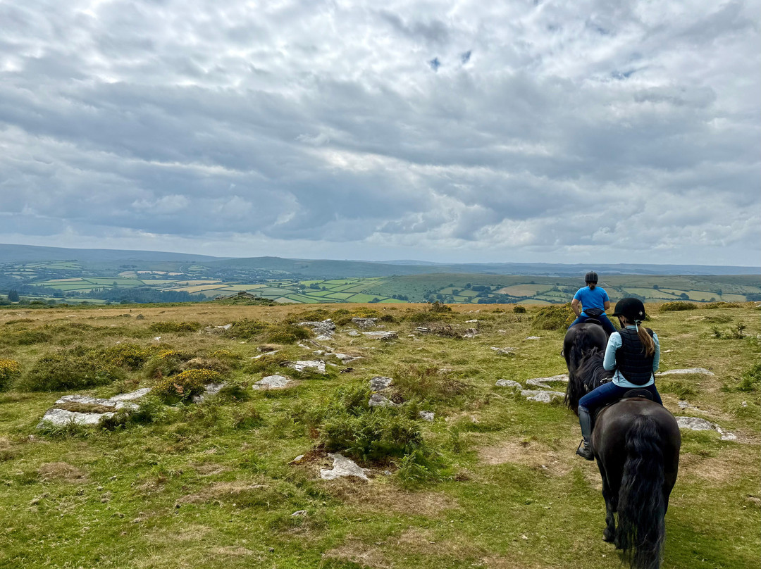 Shilstone Rocks-Widecombe in the Moor必去景点